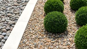 Low-maintenance gravel landscaping with round boxwood shrubs, stone edging and decorative pebbles.