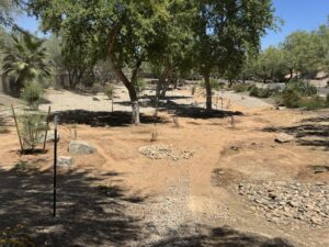 Desert xeriscape park with shady trees, dry creek bed, dirt trail, and native plants under blue sky in a suburb