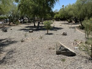 Arizona desert xeriscape yard with gravel, boulders, sparse native plants, and shade trees on a sunny day.