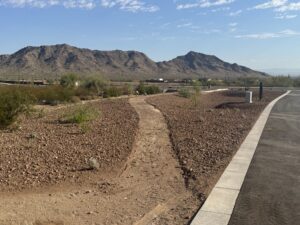 Sonoran Desert trail with cacti, mountain views, blue sky and paved road in a suburban Arizona landscape
