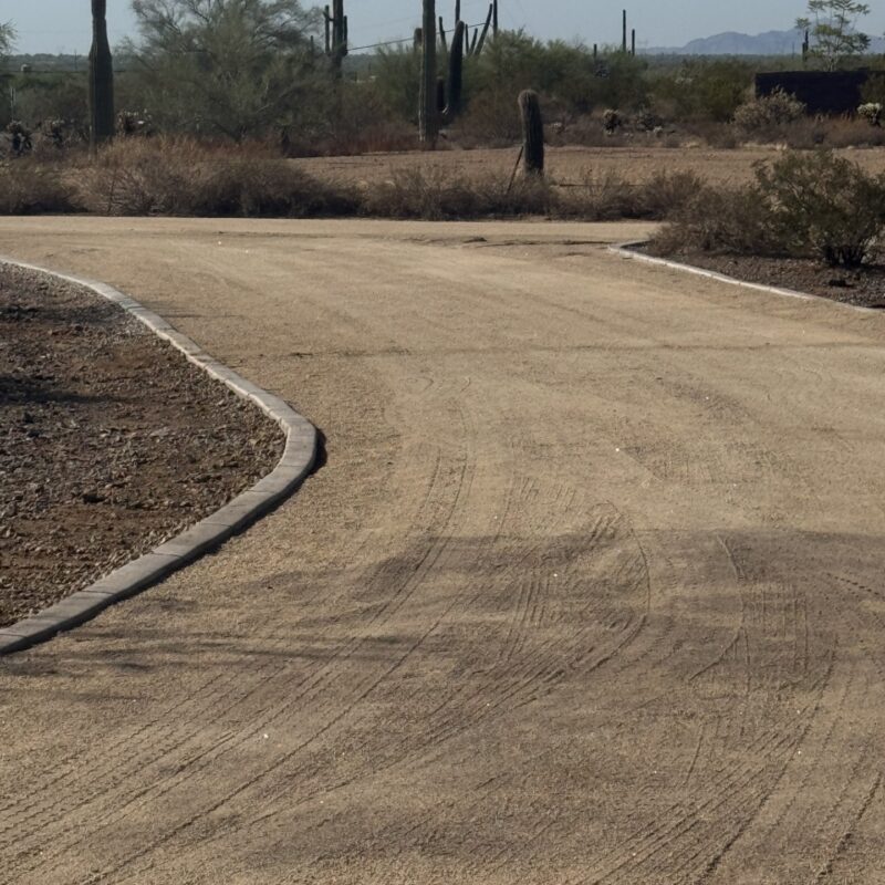 Curving desert trail with saguaro cacti in Arizona’s Sonoran Desert under a clear blue sky