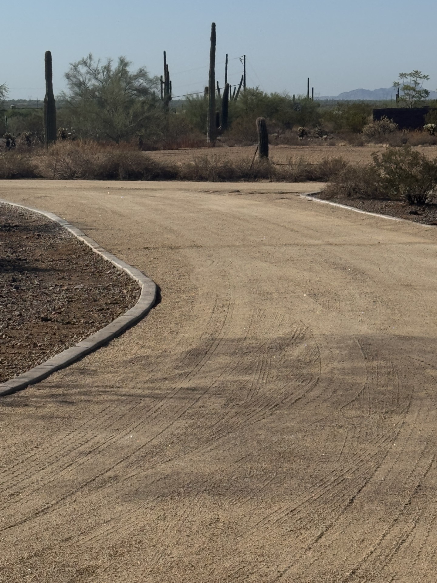 Curving desert trail with saguaro cacti in Arizona’s Sonoran Desert under a clear blue sky
